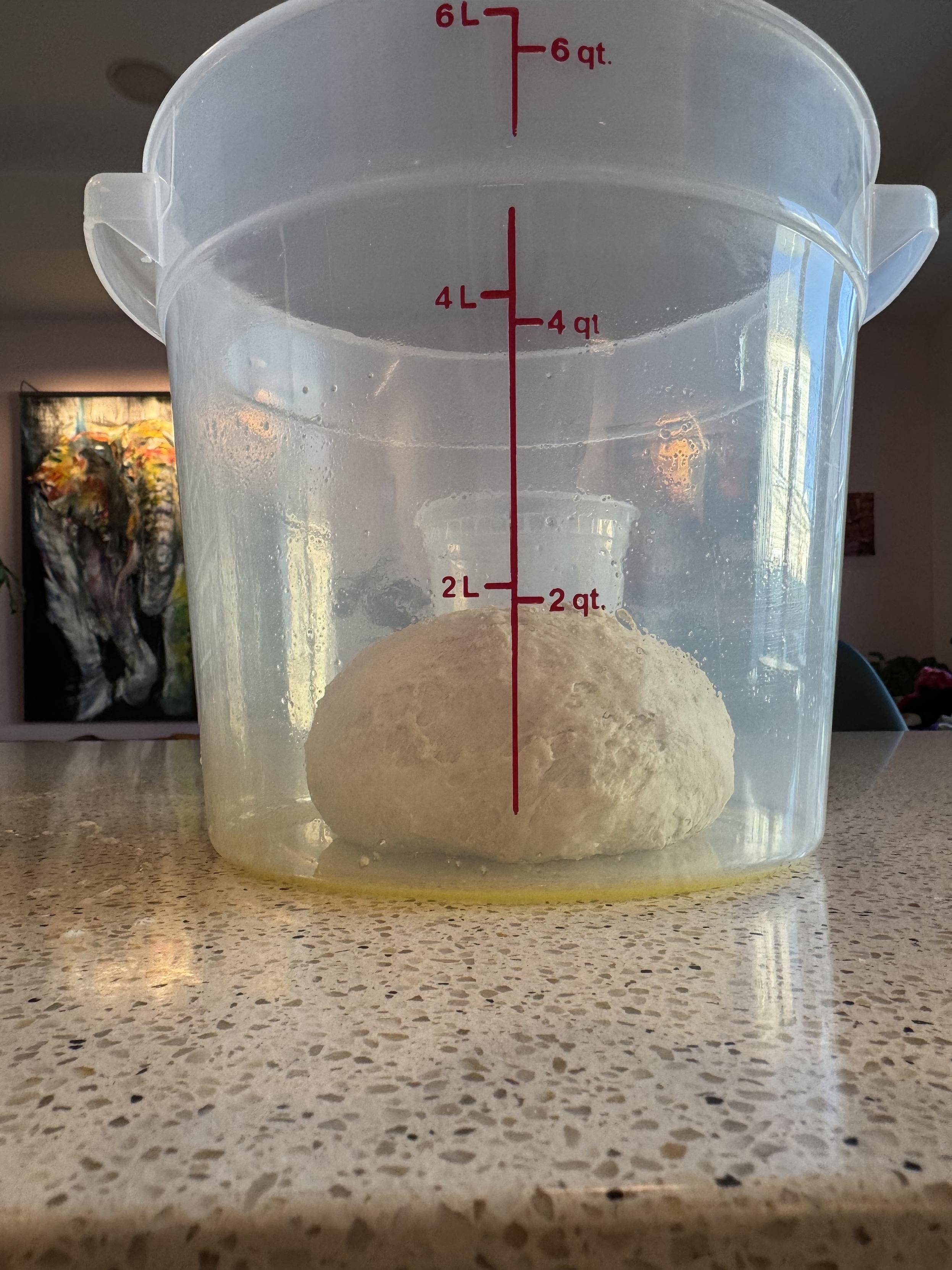 A clear plastic 6L fermentation tub, lightly oiled with olive oil, with a tight ball of dough on the bottom, in the center, immediately after mixing. There are about 2” of empty space around the ball on the bottom and the top center nearly reaches the 2L line on the tub.