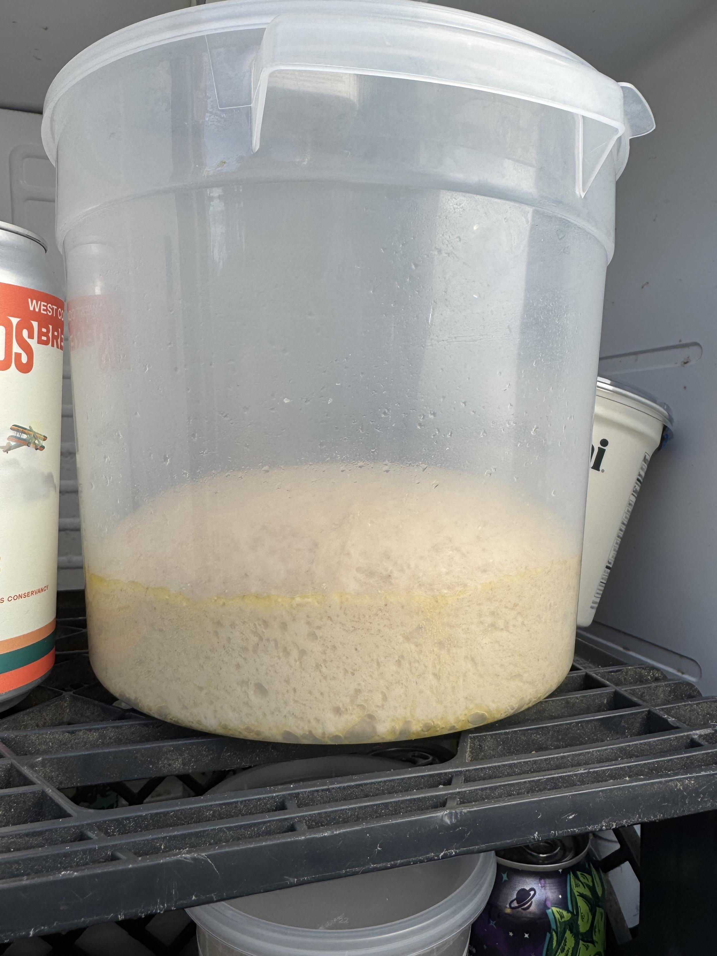 3 days of cold primary fermentation later and the ball has more than doubled in size and is pressing itself against the sides all around the tub, displaying nice bubbles 