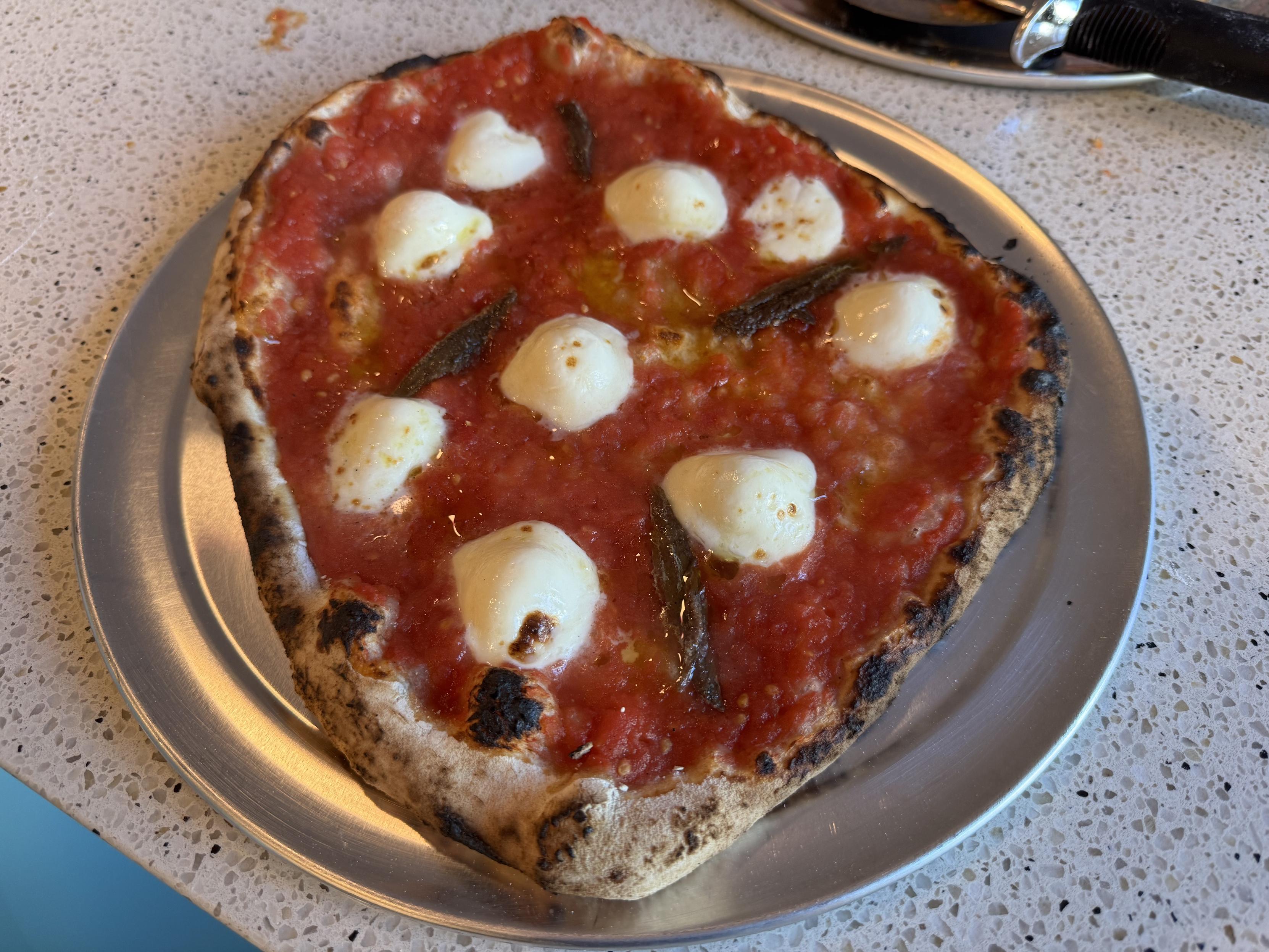 an irregular shaped Neapolitan pizza on a stainless steel 12” plate, topped mostly with red tomato sauce, eight white circles of mozzarella, and four anchovy filets