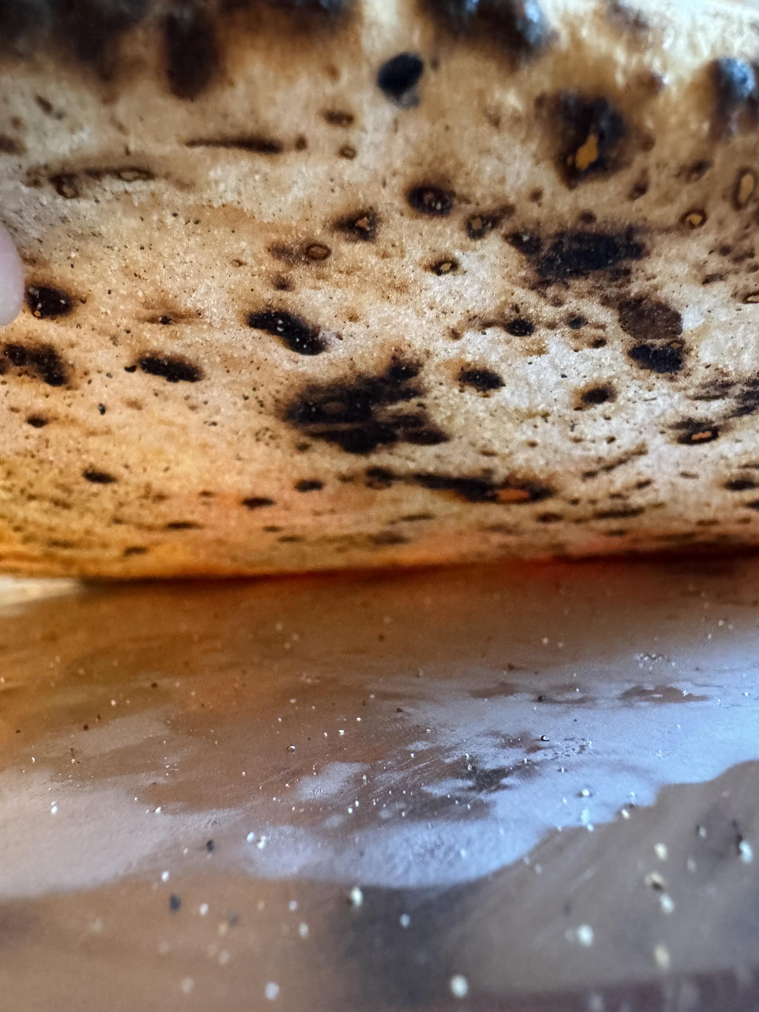 the underside of one of the pizzas which I’ve lifted up off of a steel plate to check the crust, it is speckled with leopard spotting, many with tiny holes in the center, just like you want to see for this style