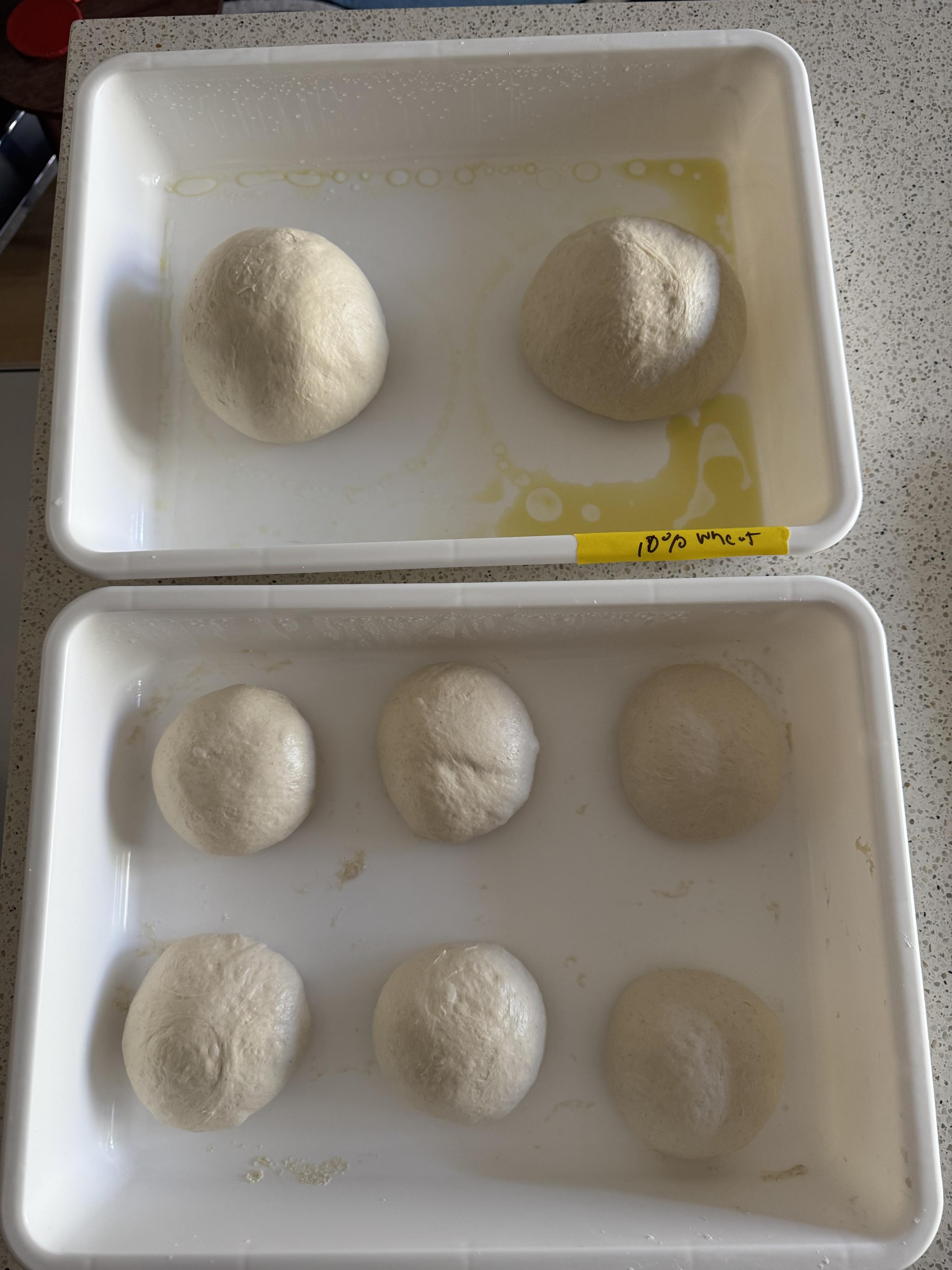 two dough tubs with the lids off, photographed top downthe top tub has two dough balls for 18” NY style pizzas in itthe bottom has 6 dough balls for neapolitan pizza in it