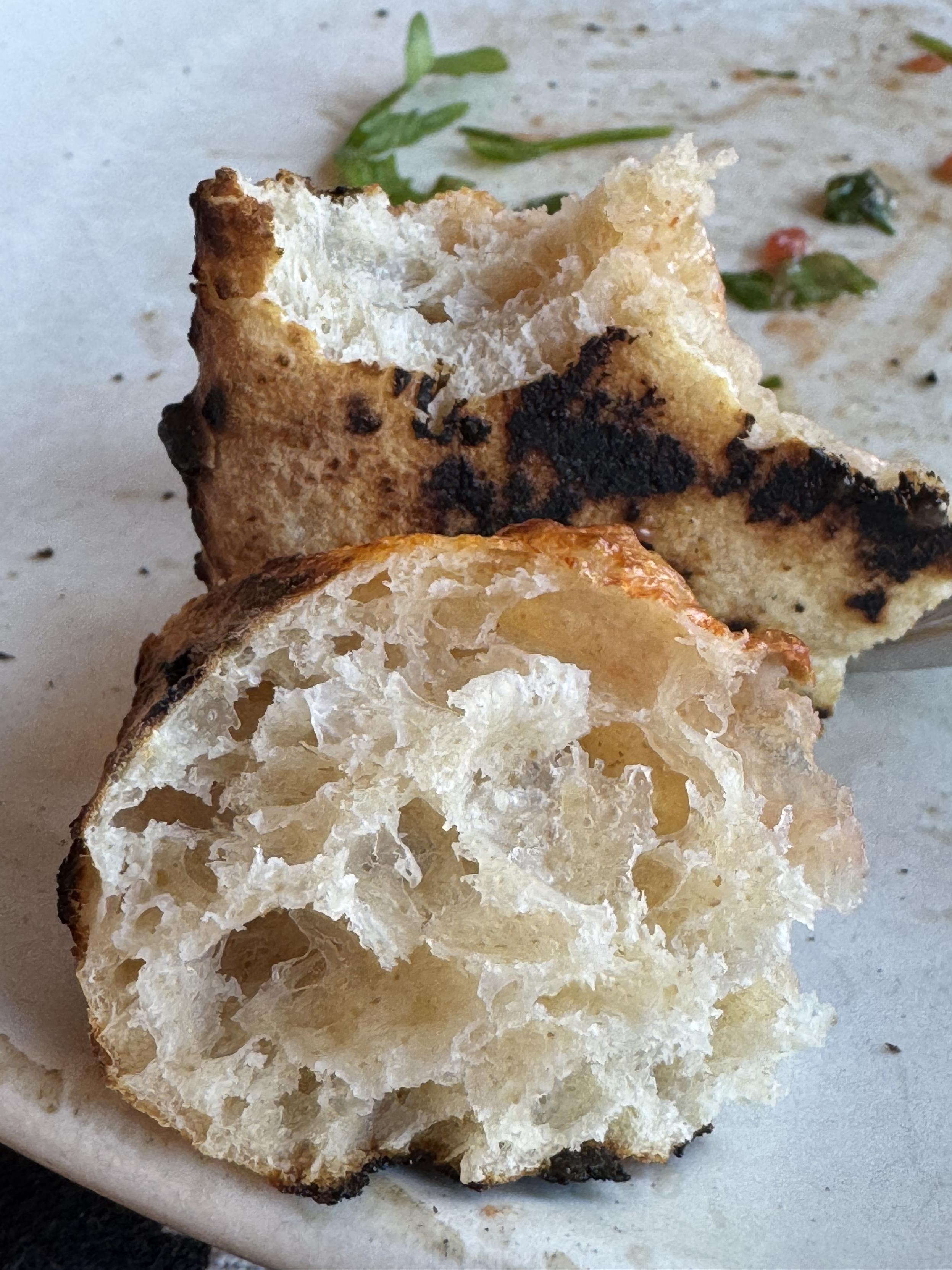 the crust of a neo-neapolitan pizza torn into two sheet pieces on a plat. the bottom is leoparded, the crumb is very open