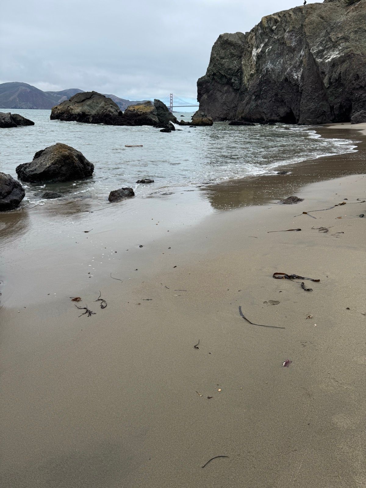 Afternoon Walk