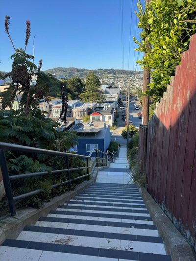 Morning Walk