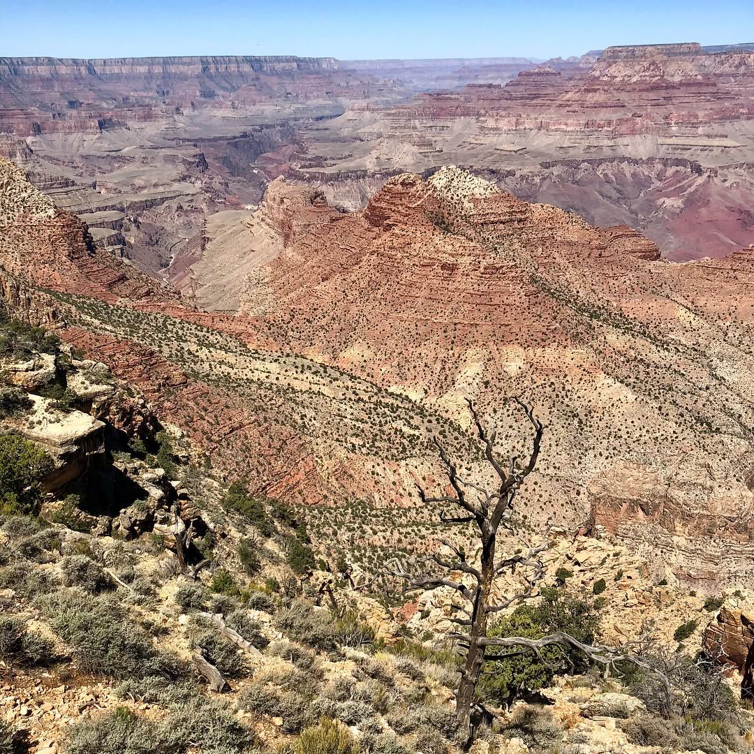Navajo Point at the Hopi inspired Desert Tower on our way out of the park.