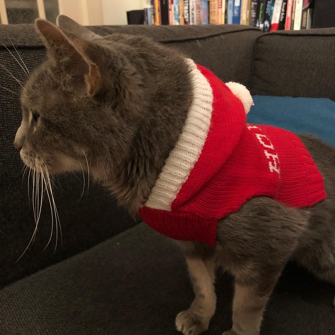 grandma’s last ho ho ho