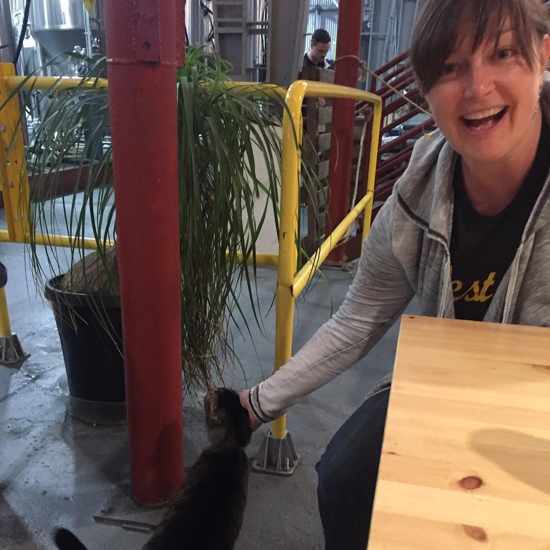 befriending Salvatore, the brewery Tom at Barebottle