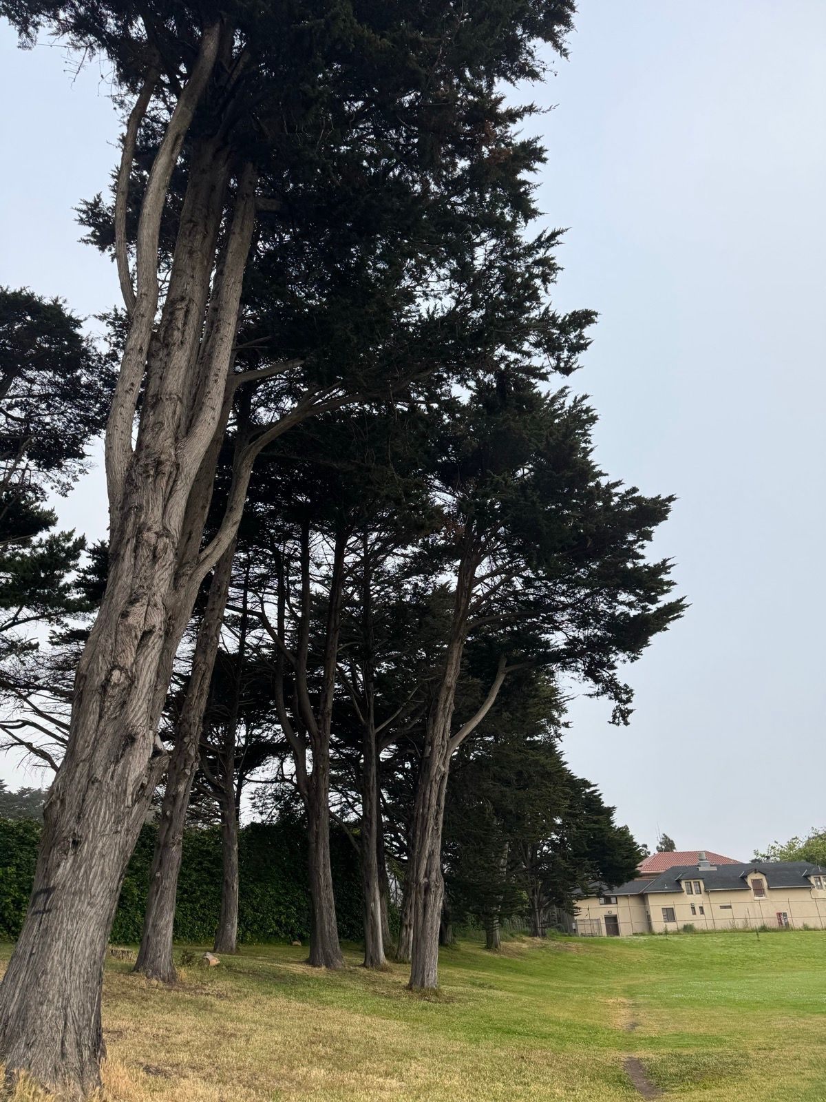 Morning Walk