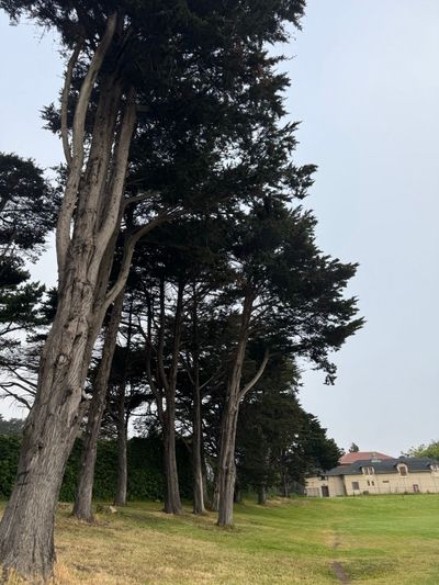 Morning Walk