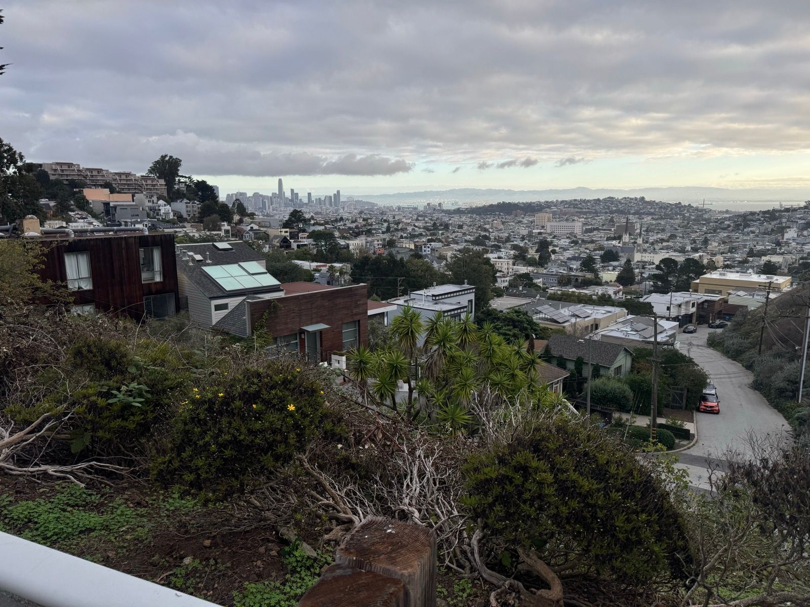 Morning Walk