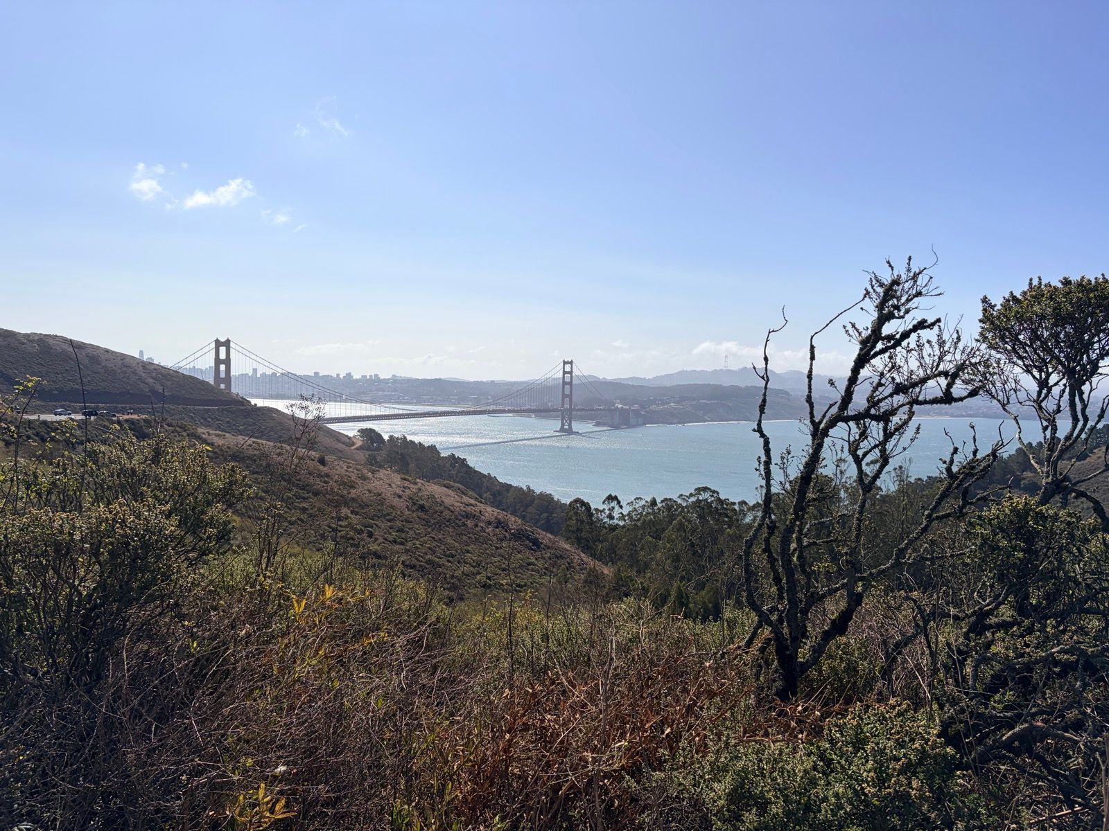 Casual city loop that accidentally almost became a Hawk Hill ride