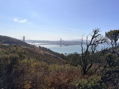 Casual city loop that accidentally almost became a Hawk Hill ride