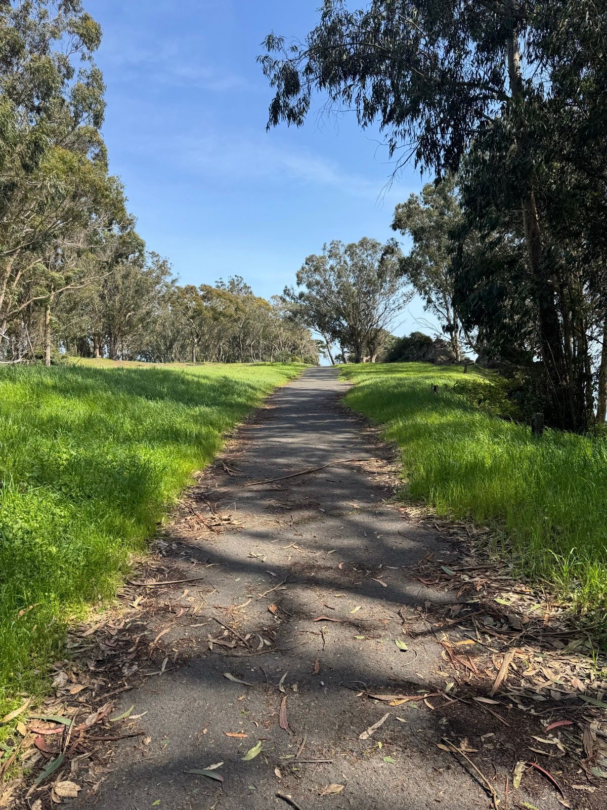 Afternoon Walk
