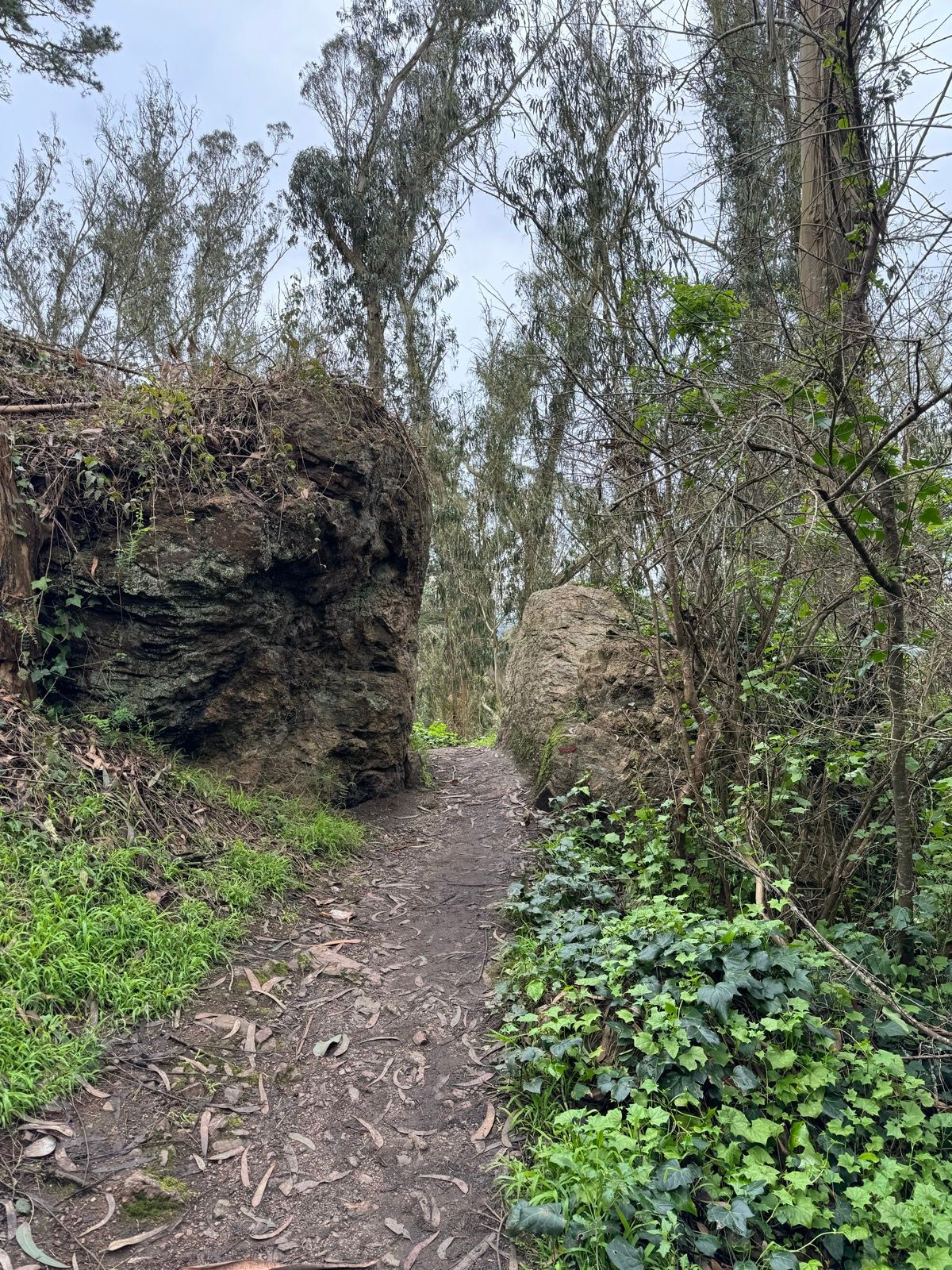Afternoon Walk