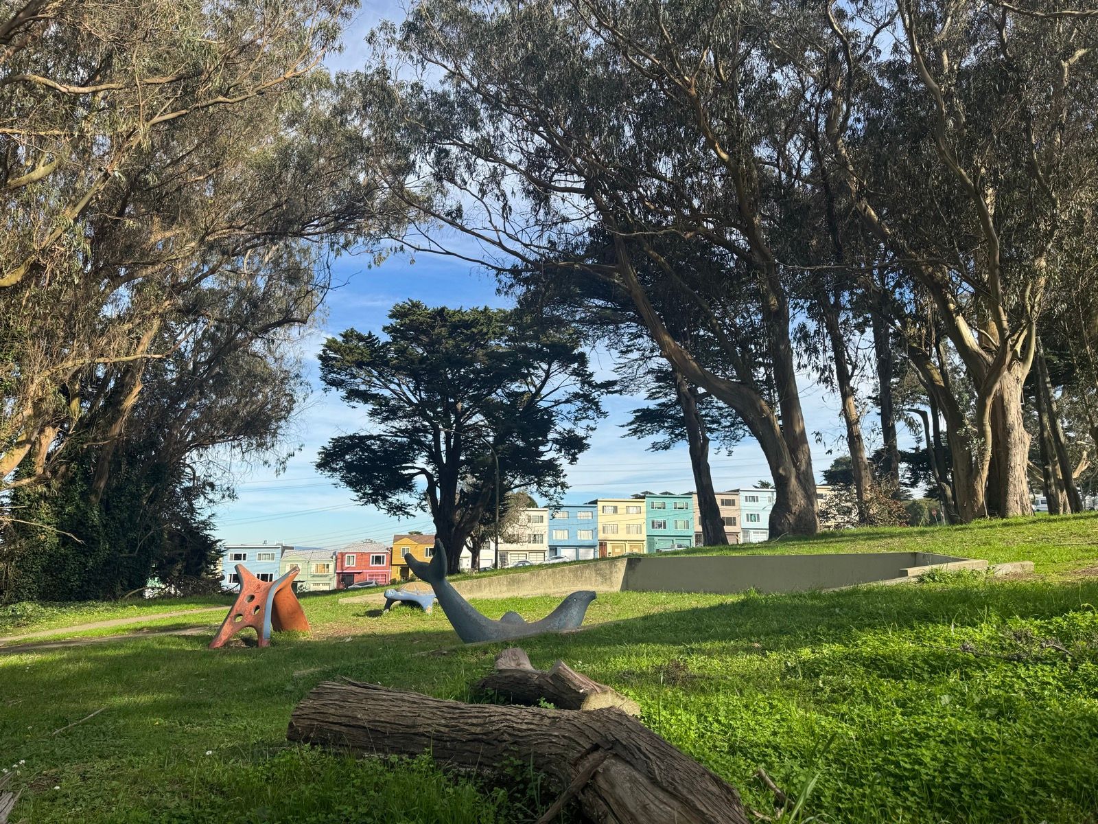 Afternoon Walk