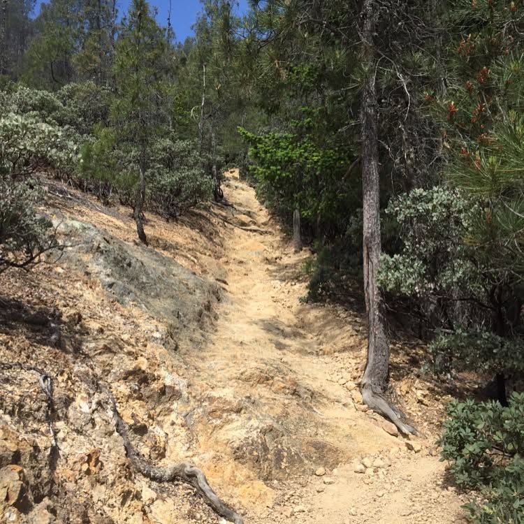 Robert Louis Stevenson St park to the top of Mt. St. Helena. http://bahiker.com/northbayhikes/rlssp.html