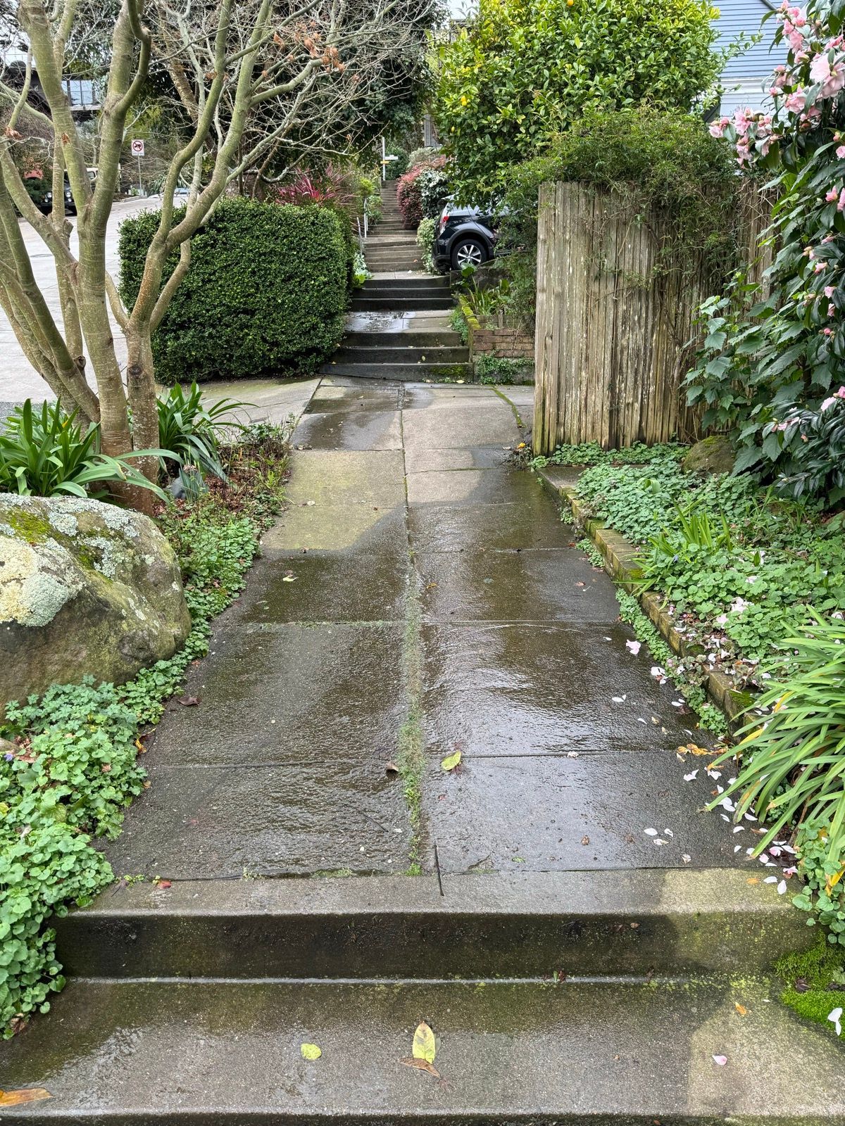 Afternoon Walk
