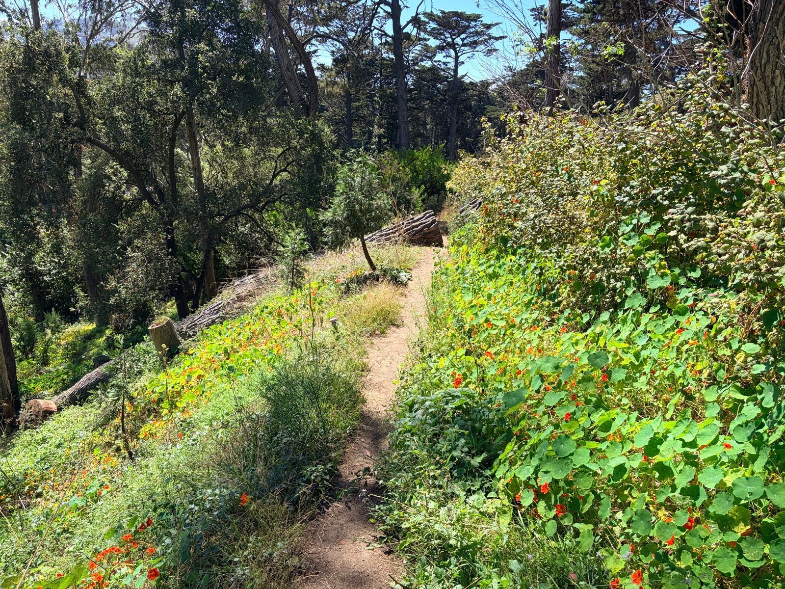 Blue Heron Lake and Strawberry Hill Loop