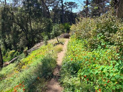 Practicing a Strawberry Hill hike that has potential for a group hike with some coworkers who will be visiting the city in a few weeks. Huntington Falls were not running today, not sure why.