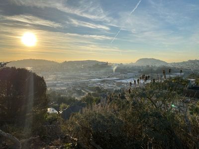 Morning Walk