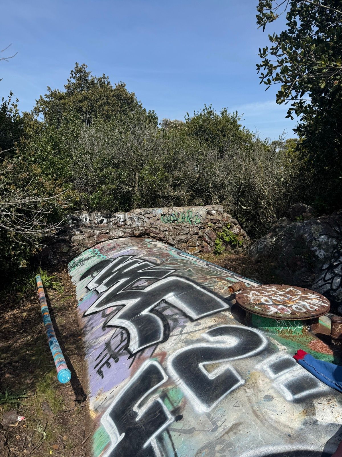 Afternoon Walk