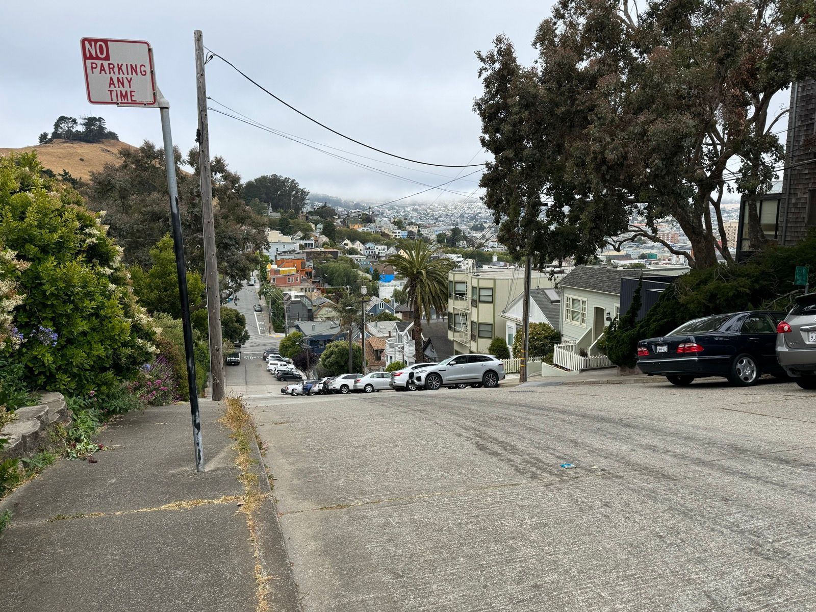 Morning Walk