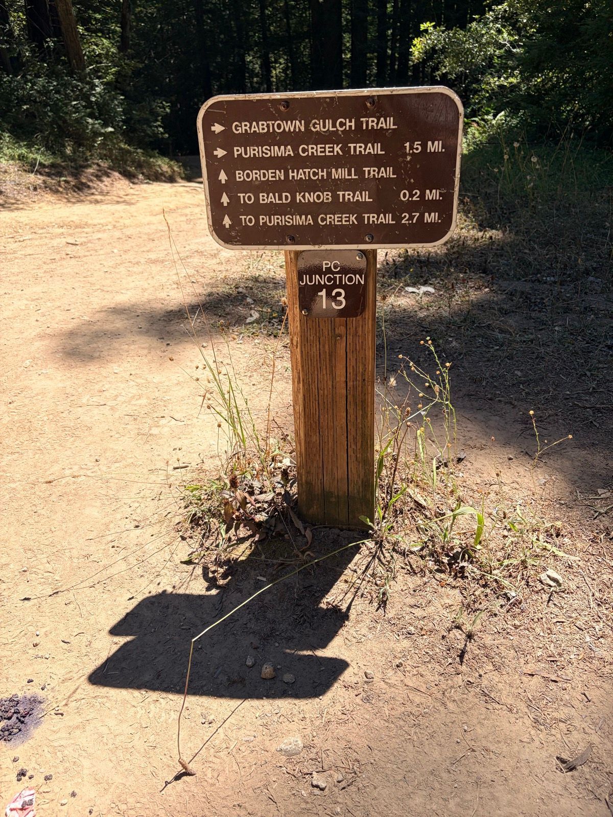 Grabtown Gulch to Purisima Creek