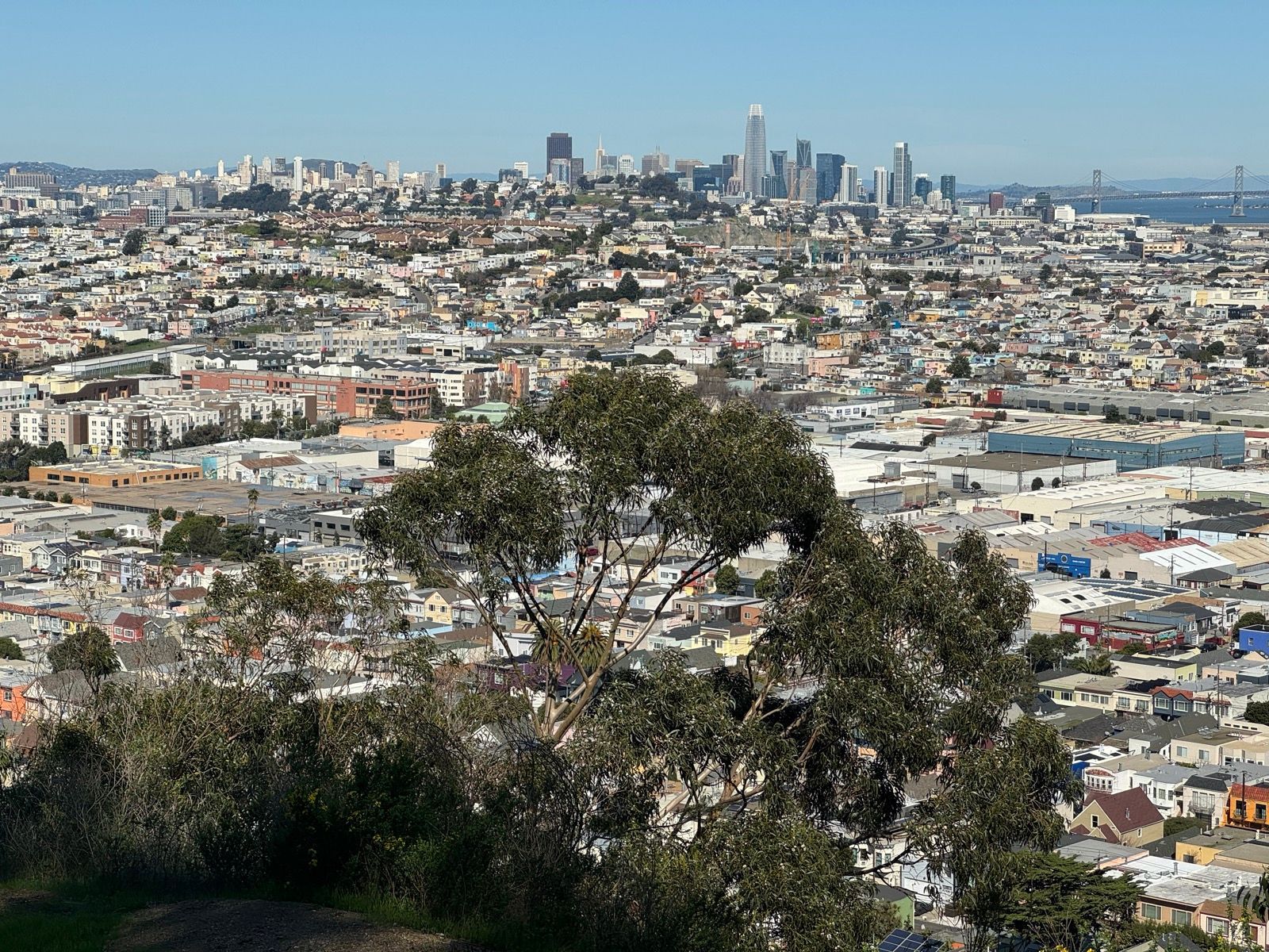 bayshore hill, candlestick park(ing lot)