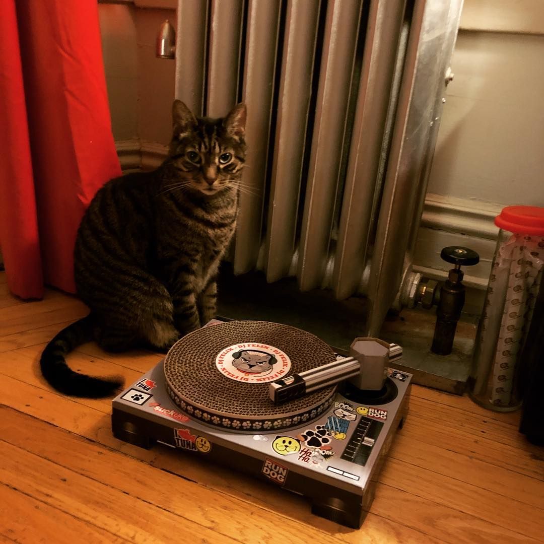 DJ Resentment
