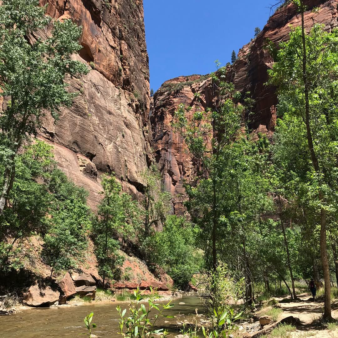 Hiked the narrows at Zion, amazing! Zion, Bryce, and a few more parks around here are absolutely worth the road trip to Utah.