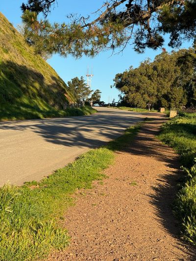 Morning Walk