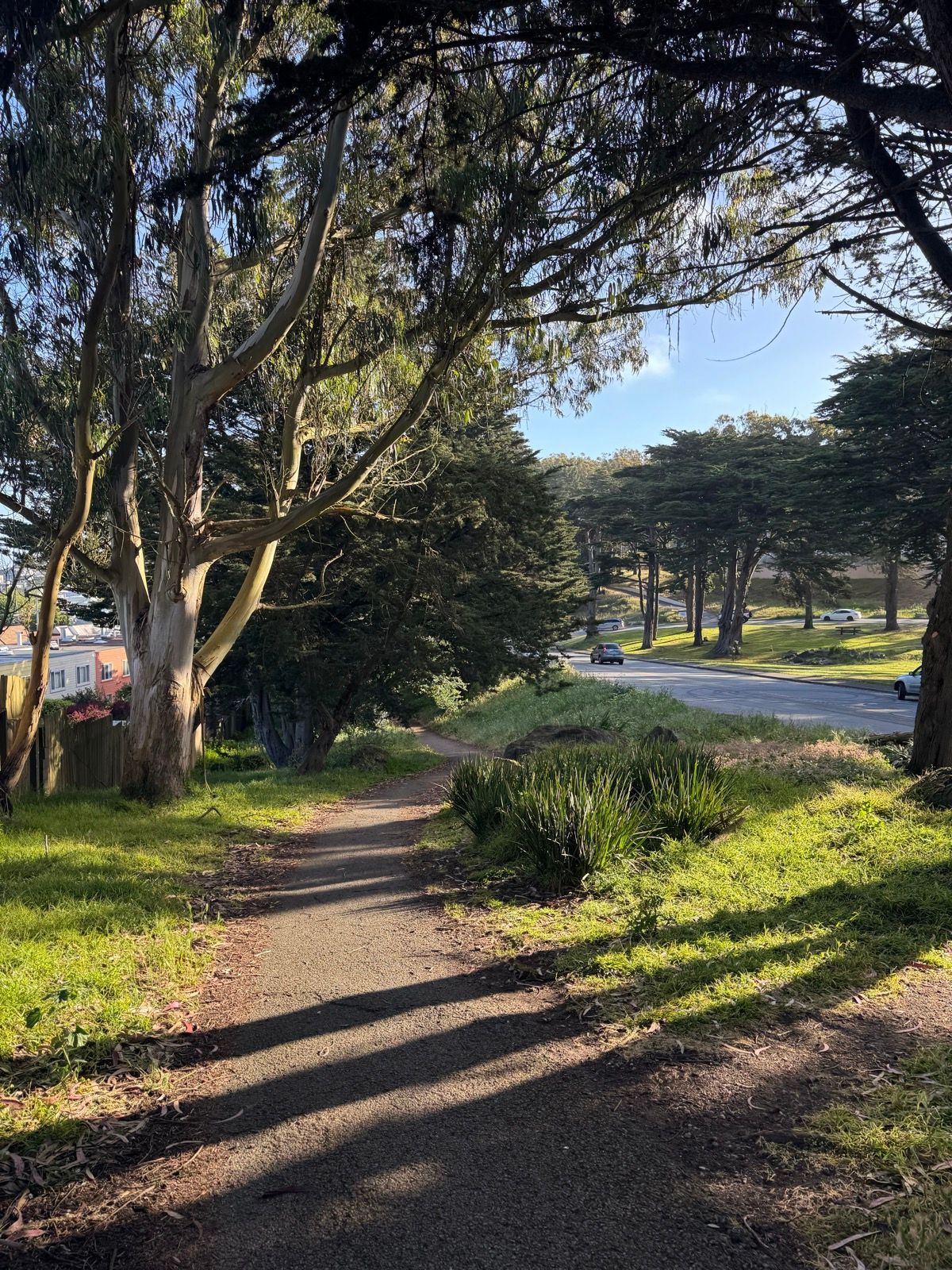 Morning Walk