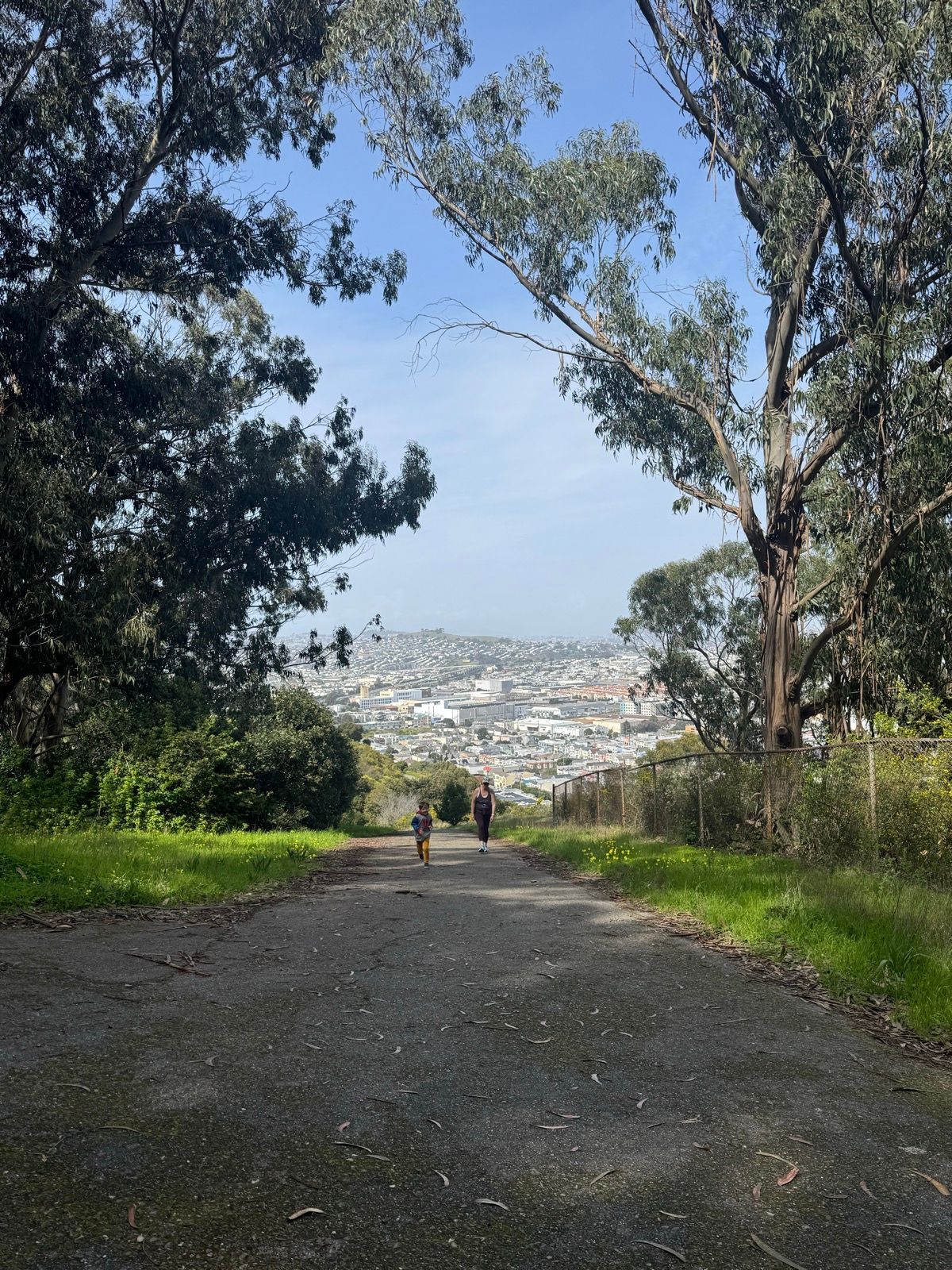 Afternoon Walk
