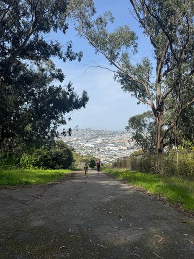 Afternoon Walk