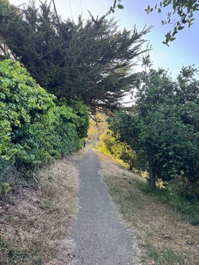 Morning Walk
