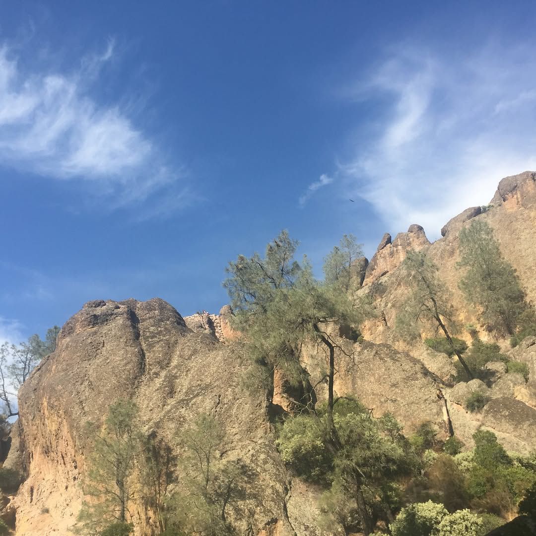 Balconies to Old Pinnacles to High Peaks, 2,400 of elevation change over 8.6 miles.