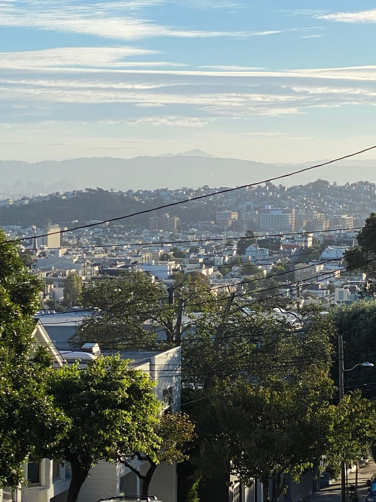 Morning Walk