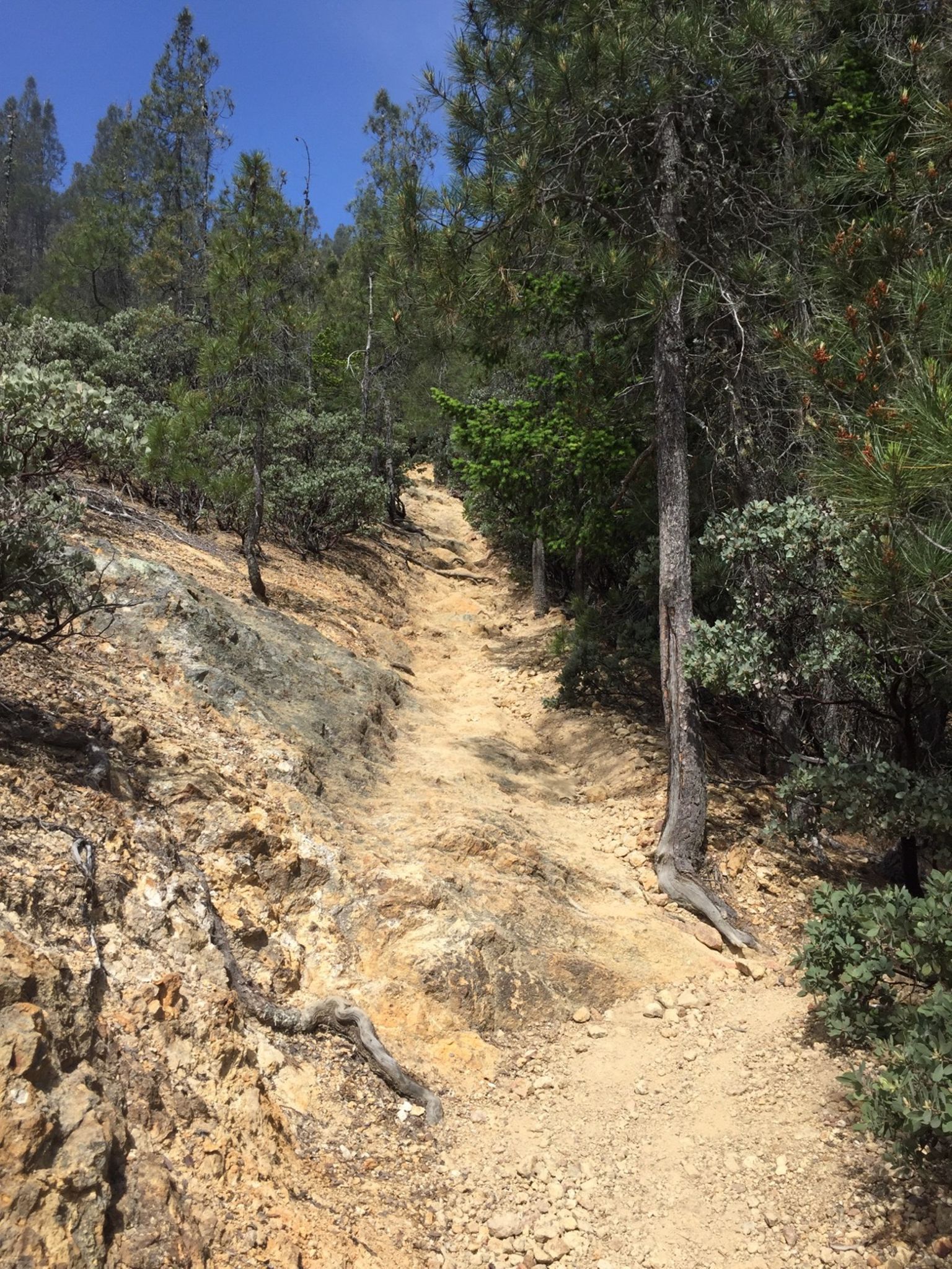 Mt St Helena