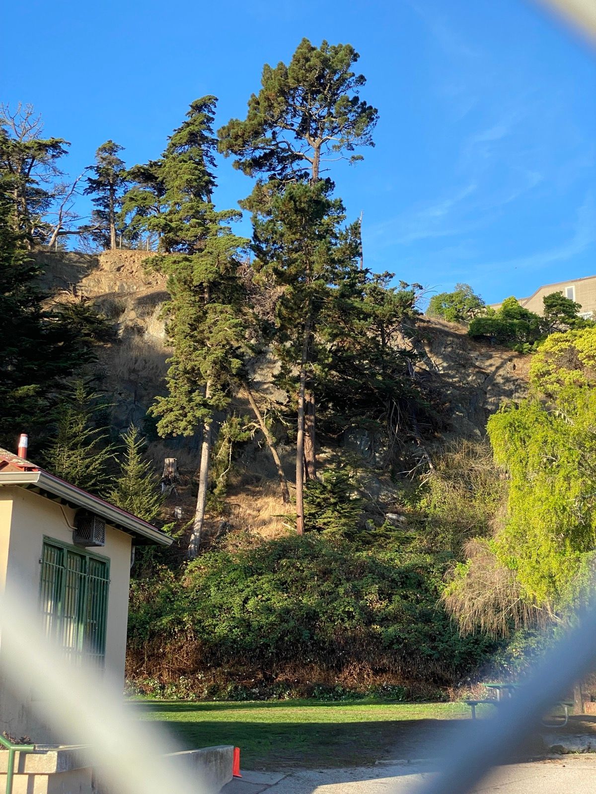 Morning Walk