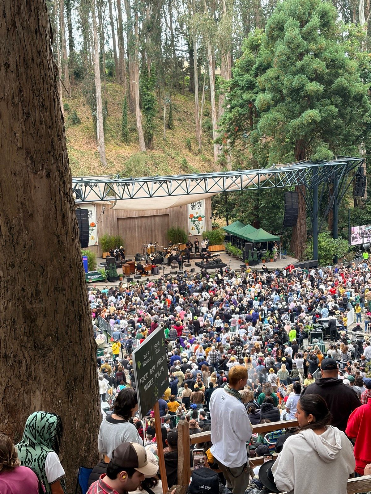 Al Green at Stern Grove