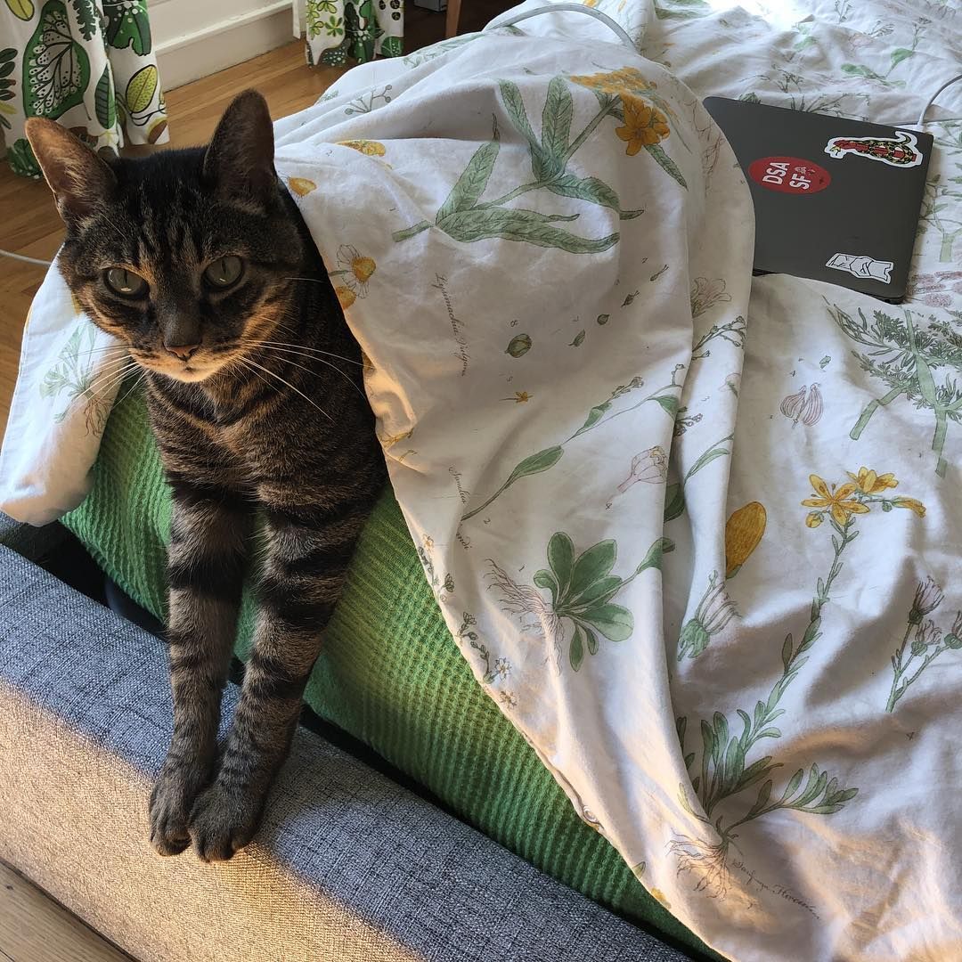 he did this to himself