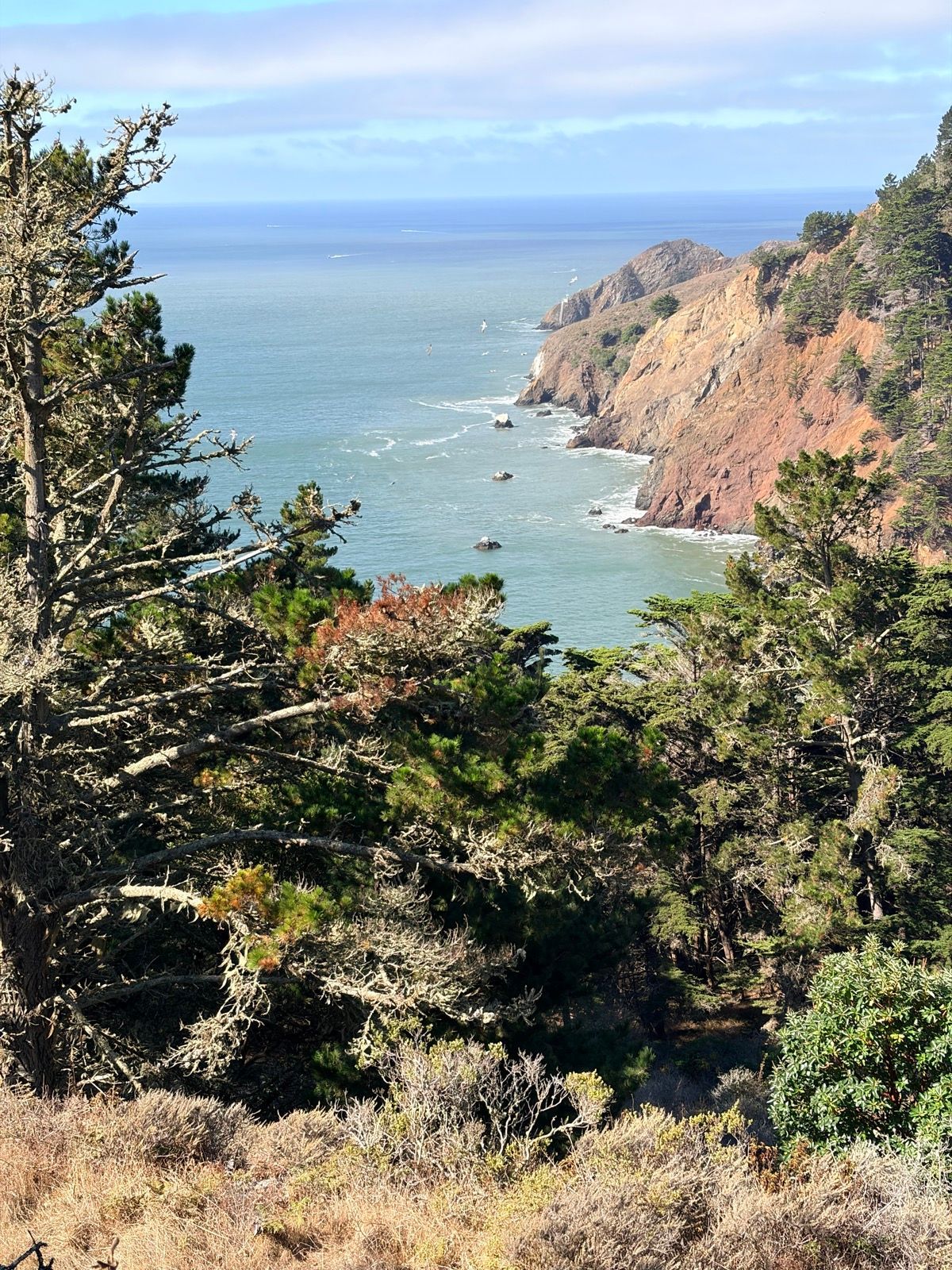 Kirby Cove