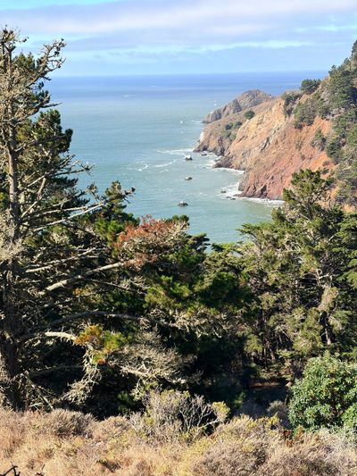 Kirby Cove