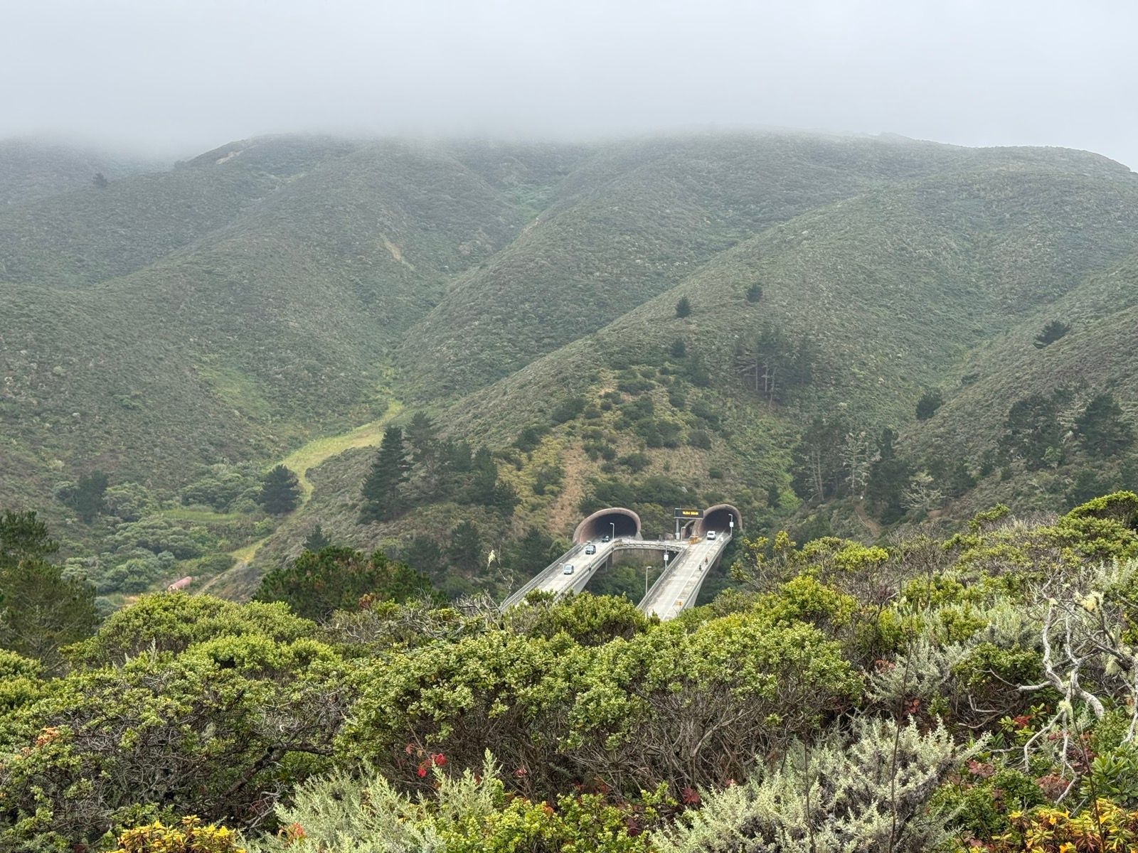 Whale watching from the Pedro Point Headlands on Foggy afternoon.