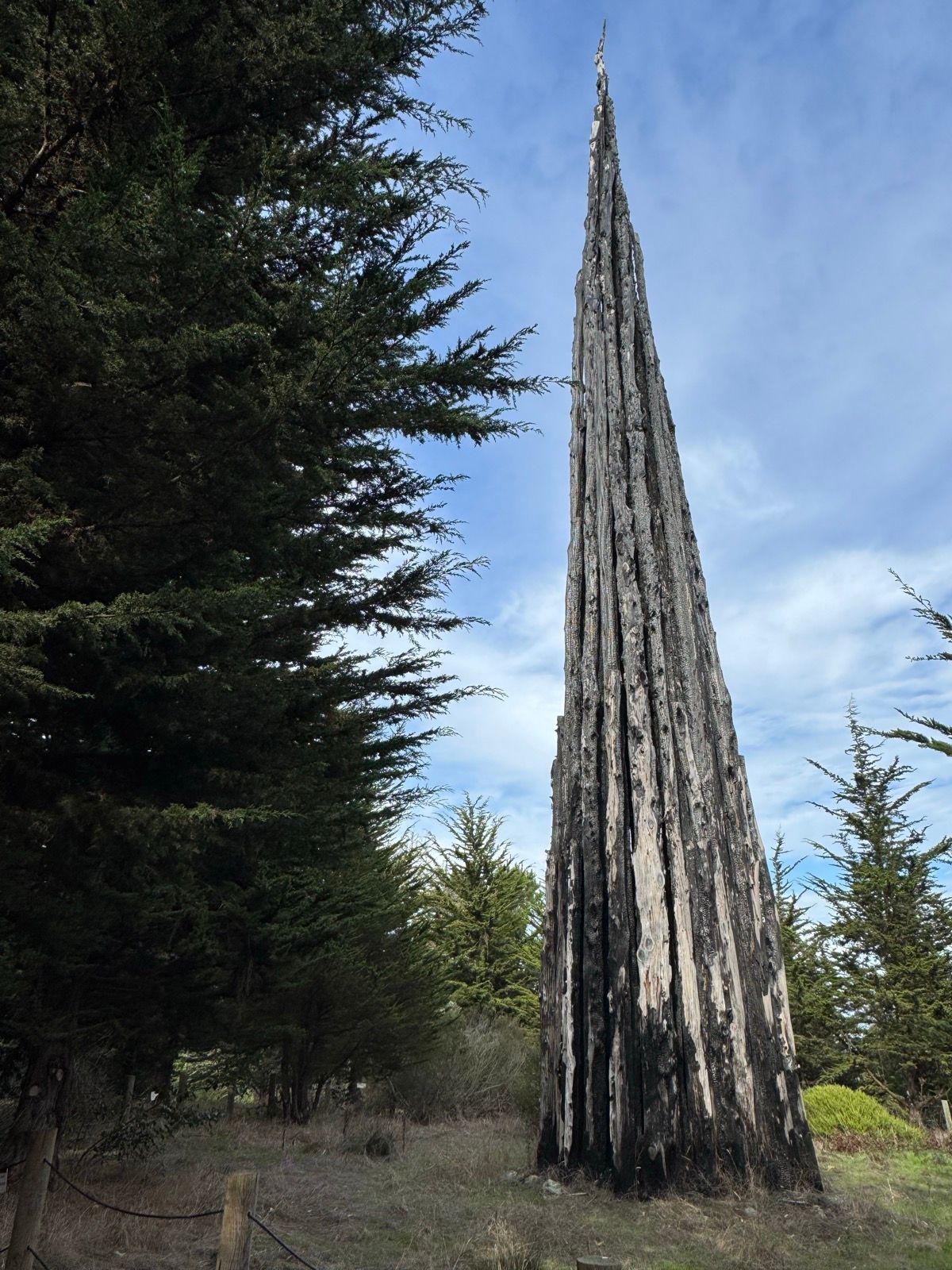 neat, never seen this andy goldsworthy stuff before