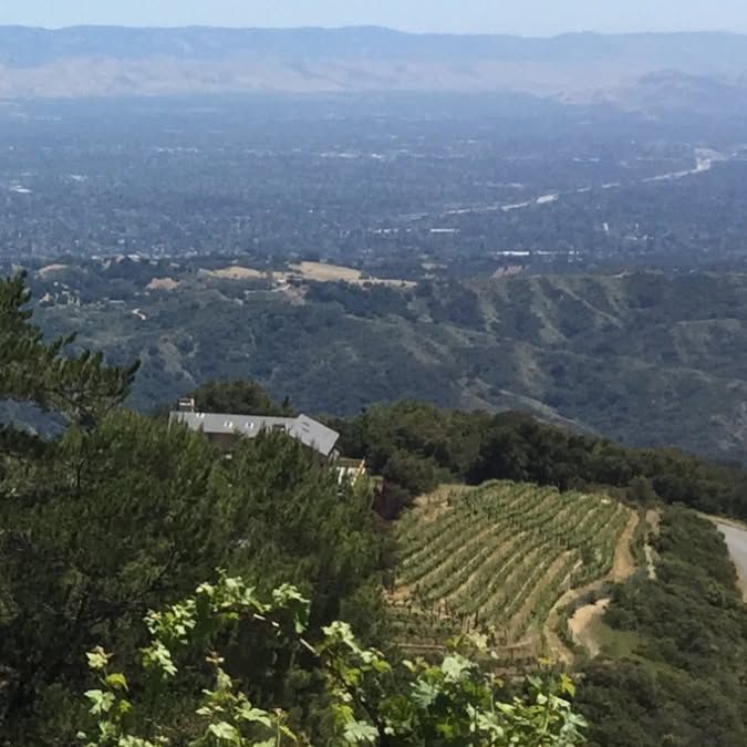 The new Apple campus, surrounded by nowhere for any of the emploees to live, from Ridge Winery, which is lovely.