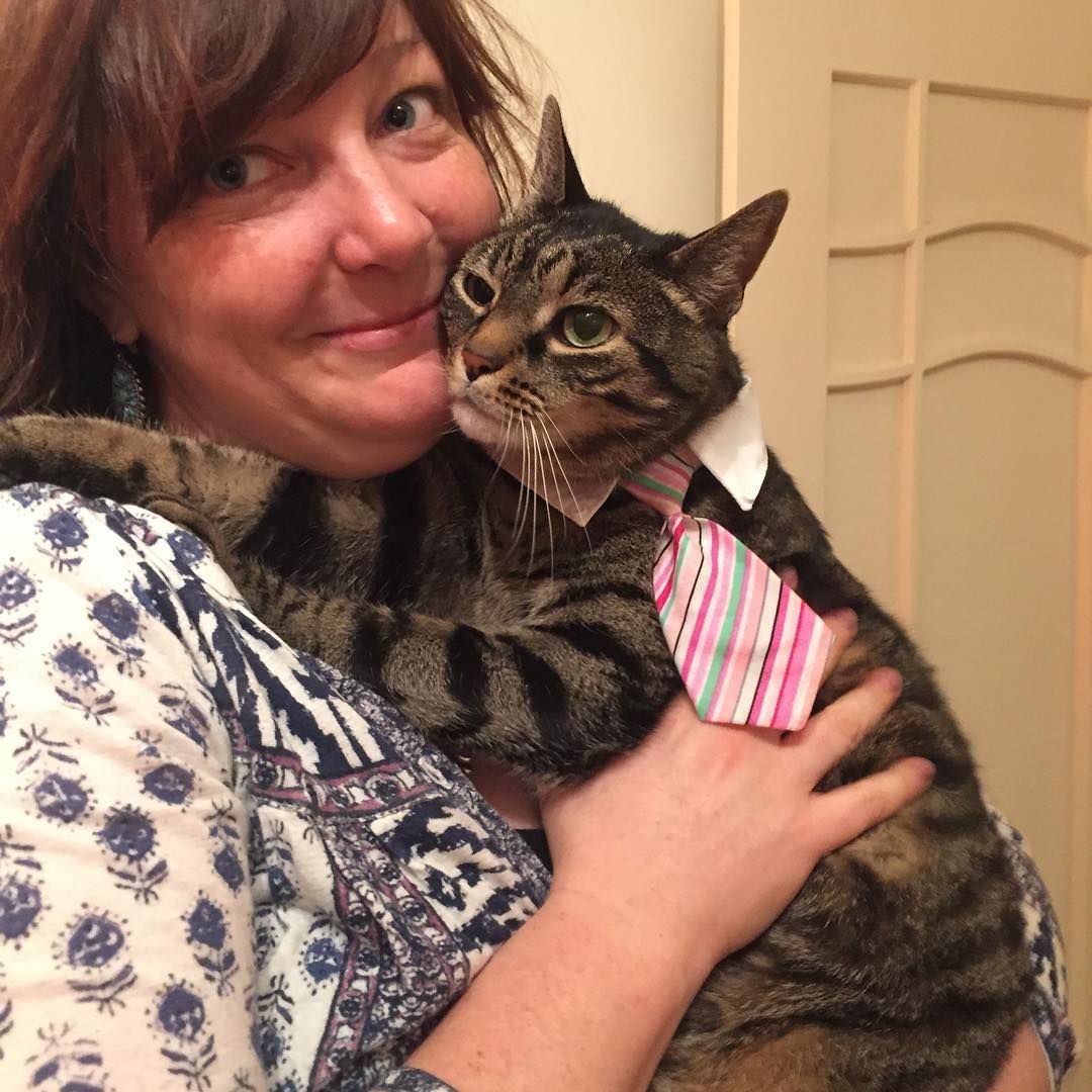 cat tie is ftd