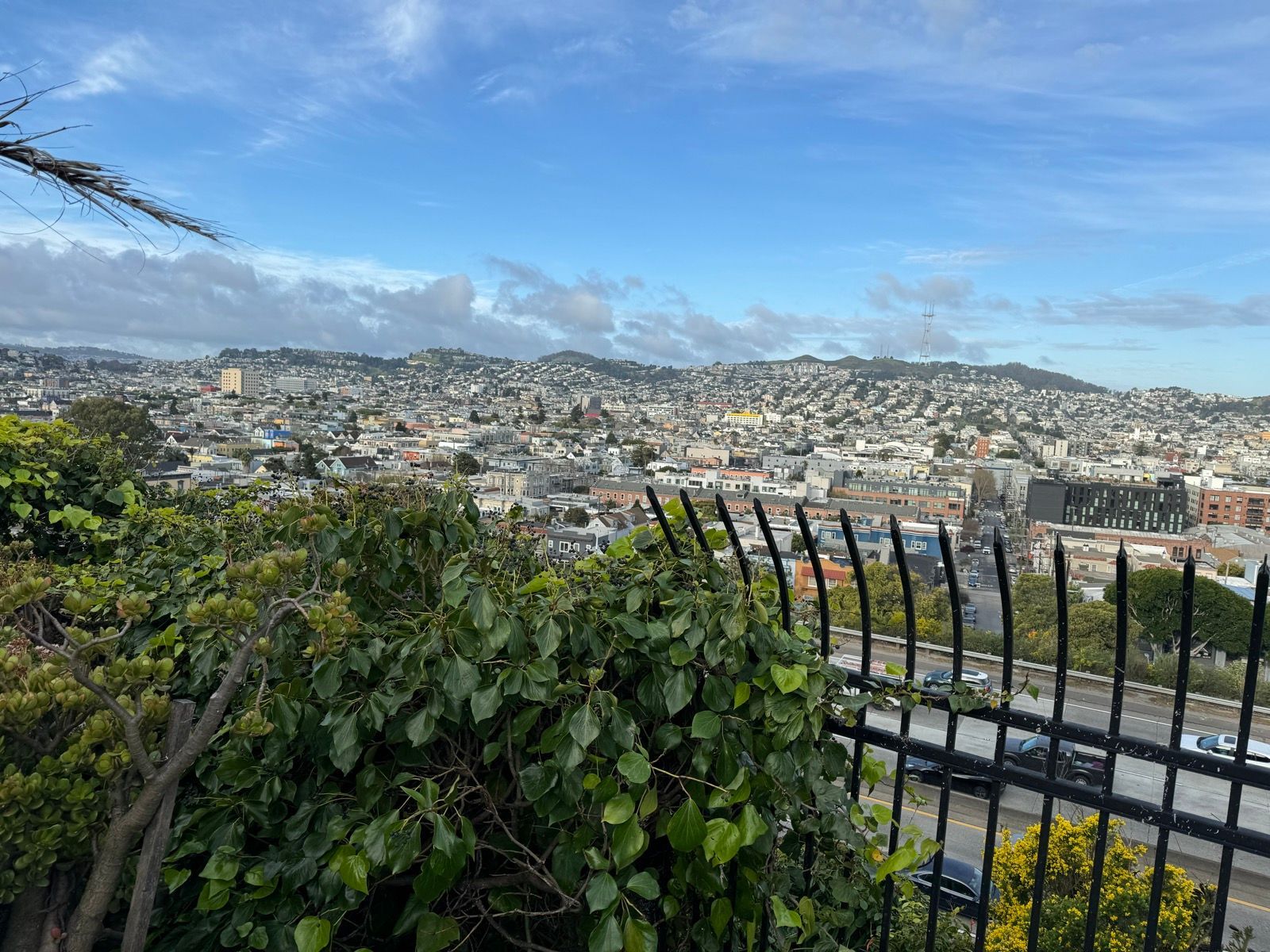 Morning Walk