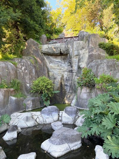 Practicing a Strawberry Hill hike that has potential for a group hike with some coworkers who will be visiting the city in a few weeks. Huntington Falls were not running today, not sure why.