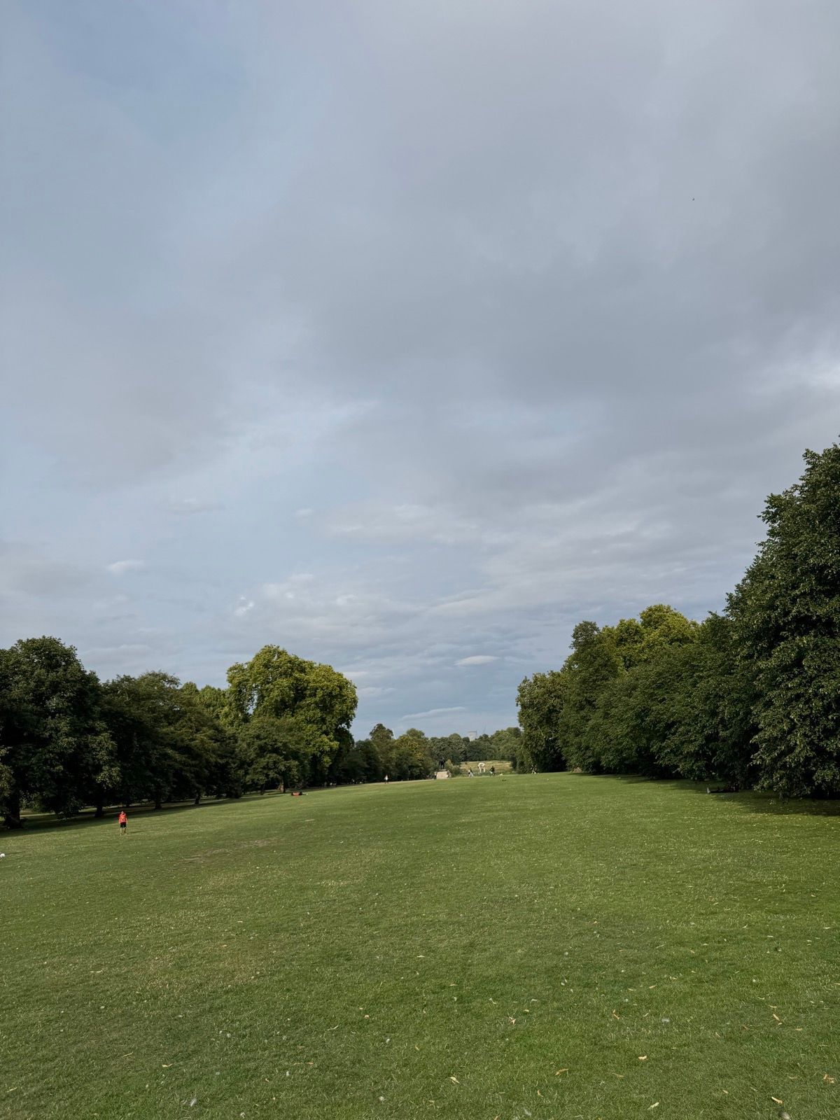 Evening Walk